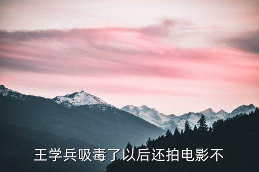 王學(xué)兵吸毒，王學(xué)兵吸毒了以后還拍電影不