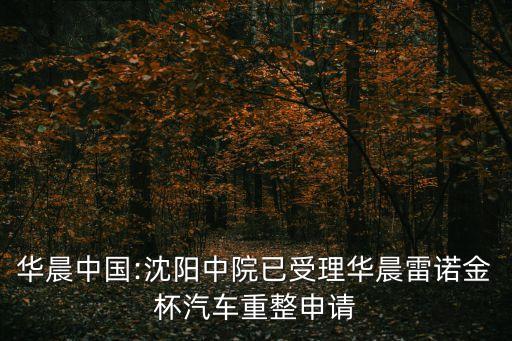 沈陽市中級人民*