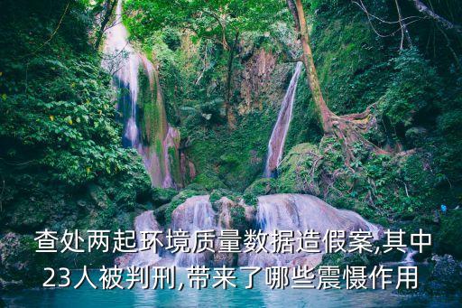 嚴(yán)肅查處,依法依規(guī)嚴(yán)肅查處