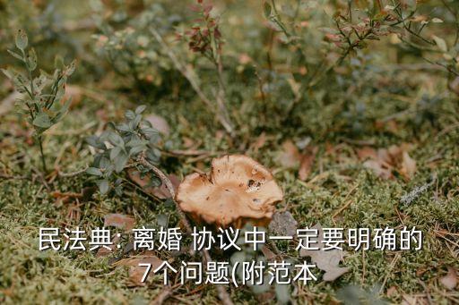 寫離婚協(xié)議需要注意哪些問題呢,離婚協(xié)議應(yīng)注意哪些陷阱