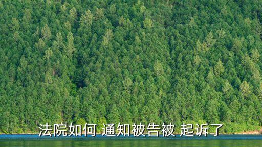 法院如何 通知被告被 起訴了
