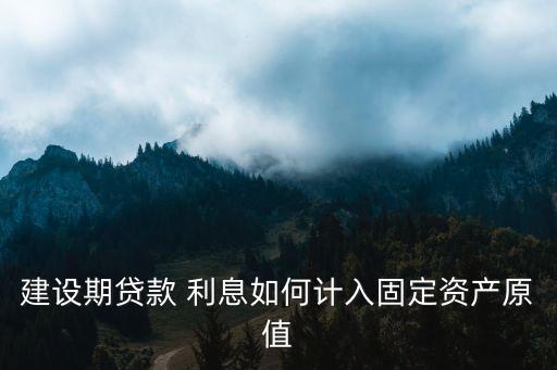 建設(shè)期貸款 利息如何計(jì)入固定資產(chǎn)原值