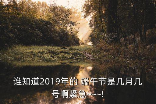 2019端午節(jié)