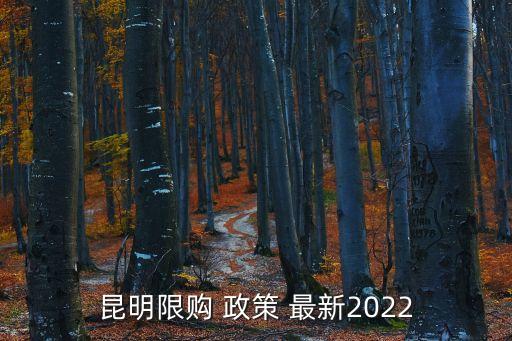 購房政策最新消息2022