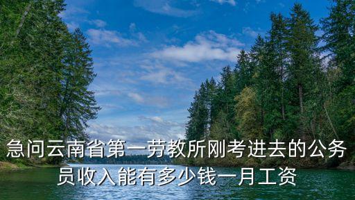 勞教所，什么叫勞教所