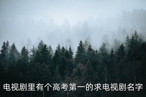 電視劇里有個(gè)高考第一的求電視劇名字
