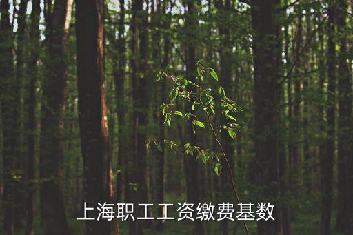 上海職工工資繳費基數(shù)