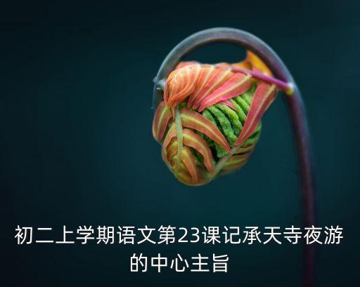 記承天寺夜游教案，怎樣導(dǎo)入記承天寺夜游