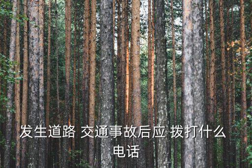 發(fā)生道路 交通事故后應(yīng) 撥打什么 電話