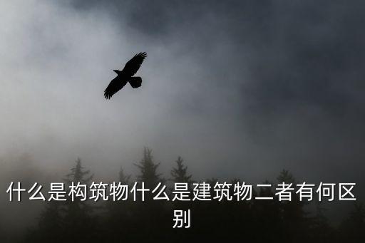 建構(gòu)筑物，建構(gòu)筑物 是什么 謝謝 有什么區(qū)別呢