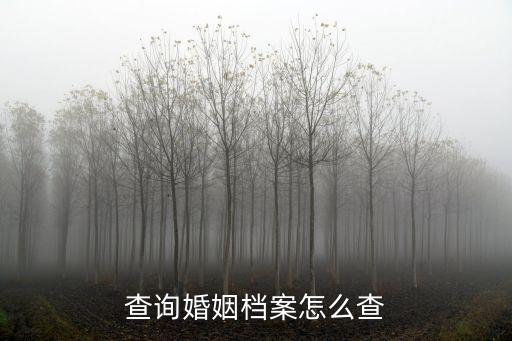 個人婚姻查詢網(wǎng)上查詢，個人婚姻查詢網(wǎng)上查詢