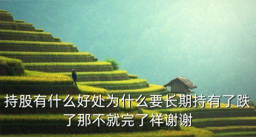 持股，持股數(shù)和持股比例是什么