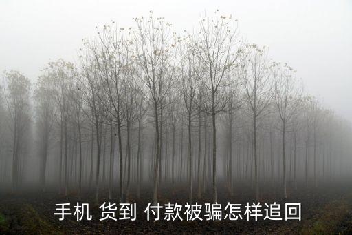 手機(jī)貨到付款,特選優(yōu)品旗艦店手機(jī)貨到付款
