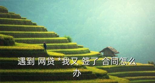 網(wǎng)貸*簽了電子合同有效嗎知乎