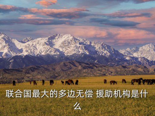 聯(lián)合國(guó)最大的多邊無(wú)償 援助機(jī)構(gòu)是什么