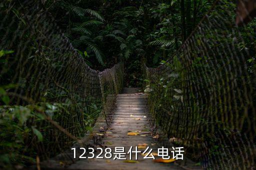 12328是什么電話