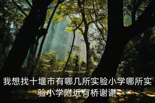 我想找十堰市有哪幾所實驗小學哪所實驗小學附近有橋謝謝