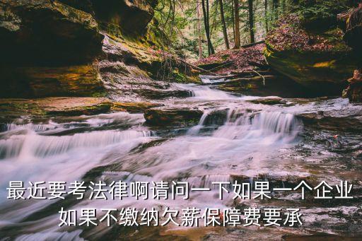 欠薪保障金，社保欠薪保證金什么意思