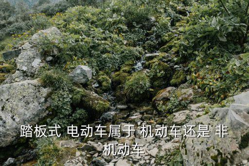 電動車是機動車還是非機動車,新國標(biāo)電動車是機動車還是非機動車