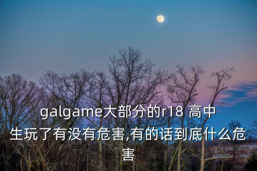 高中生h