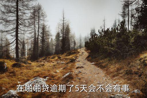 啪啪貸，啪啪貸怎樣取消申請(qǐng)的貸款