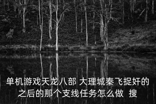 單機(jī)游戲天龍八部 大理城秦飛捉奸的之后的那個(gè)支線任務(wù)怎么做  搜