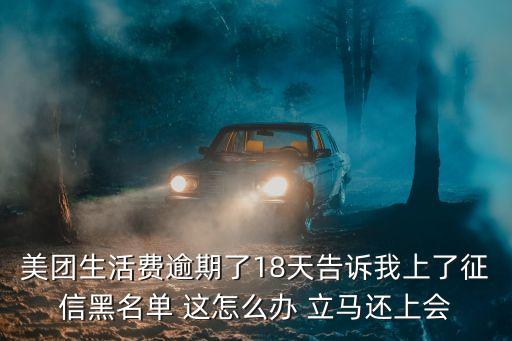美團(tuán)上征信嗎，美團(tuán)生活費(fèi)不點(diǎn)擊獲取額度查征信嗎
