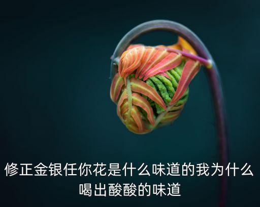 任你花，任我花怎么樣