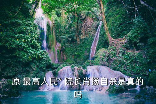 最高人民*院長(zhǎng),最高*院長(zhǎng)什么級(jí)別