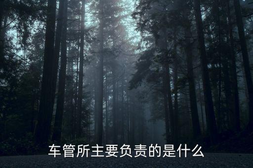 車管所主要負責(zé)的是什么