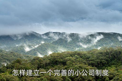 企業(yè)制度建設，如何搞好企業(yè)制度建設