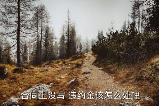  合同上沒(méi)寫(xiě) 違約金該怎么處理