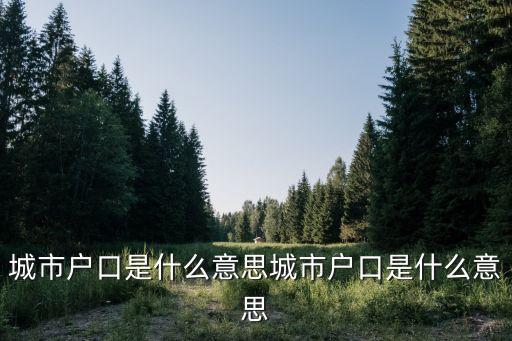 城鎮(zhèn)戶口，什么是城鎮(zhèn)戶口啊