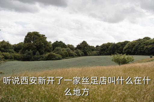 西安絲足，西安市那一家里面的主題絲足SPa做的最最好