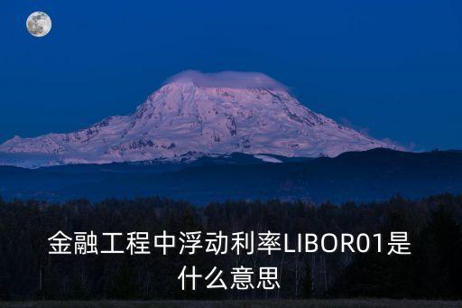 浮動利率是什么意思，金融工程中浮動利率LIBOR01是什么意思