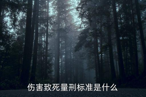 致死，致死是什么意思