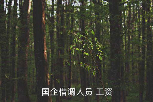  國企借調(diào)人員 工資