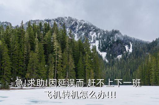 趕不上飛機(jī)怎么辦,40分鐘來得及登機(jī)嗎
