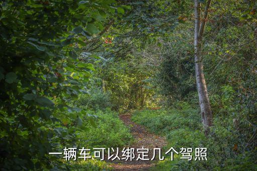 一輛車可以綁定幾個(gè)駕駛證，一輛轎車能邦定幾本駕駛證