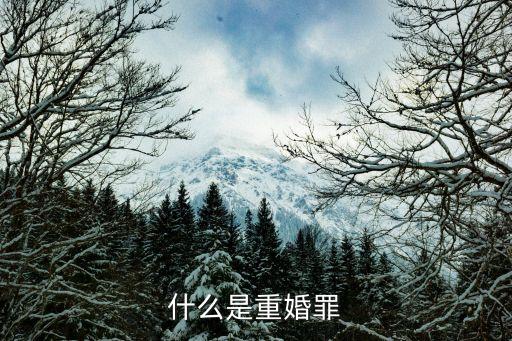 重婚罪怎么認(rèn)定，2021重婚罪的認(rèn)定標(biāo)準(zhǔn)是什么