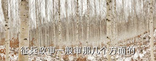 征兵政審一般審那幾個方面的