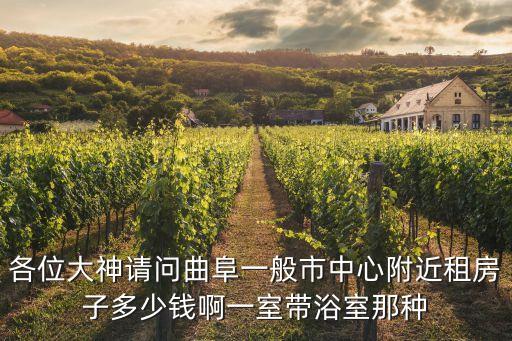 曲阜租房，各位大神請問曲阜一般市中心附近租房子多少錢啊一室?guī)г∈夷欠N