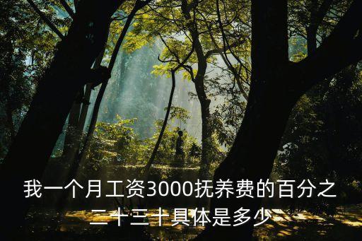 月薪3000贍養(yǎng)費給多少，我一個月工資3000撫養(yǎng)費的百分之二十三十具體是多少