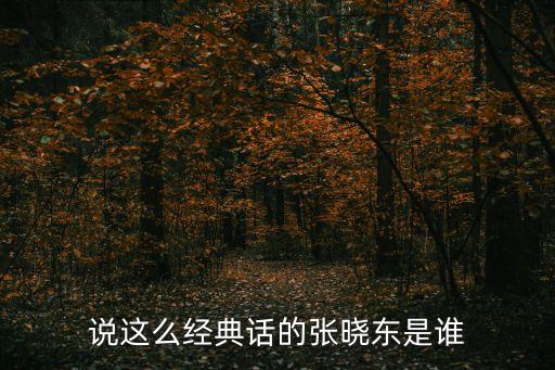 張曉東，張曉東是誰