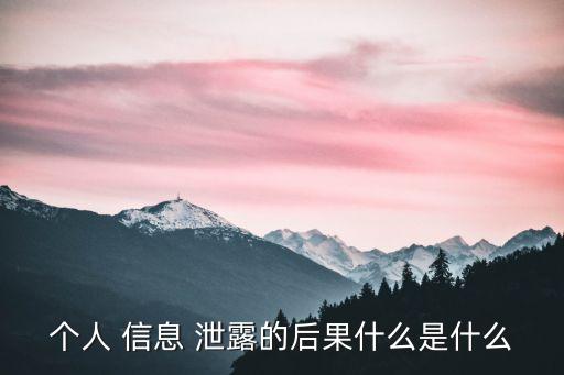 個(gè)人信息泄露的風(fēng)險(xiǎn)