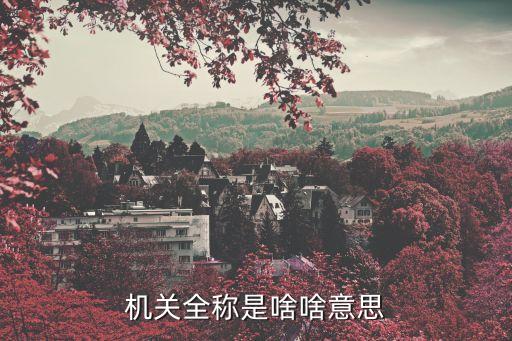 機關全稱是啥啥意思