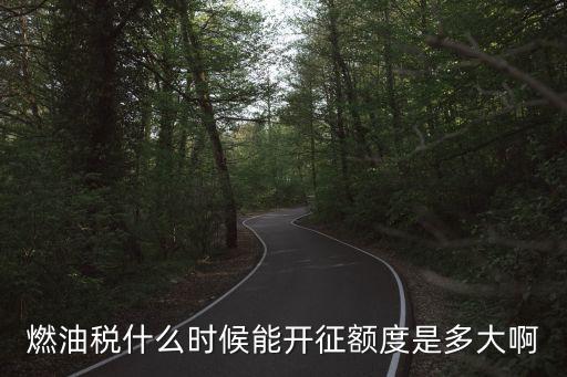 曾曉安，燃油稅什么時(shí)候能開征額度是多大啊