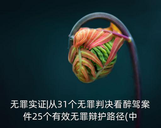 無(wú)罪實(shí)證|從31個(gè)無(wú)罪判決看醉駕案件25個(gè)有效無(wú)罪辯護(hù)路徑(中