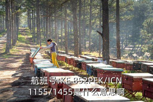 852是什么意思