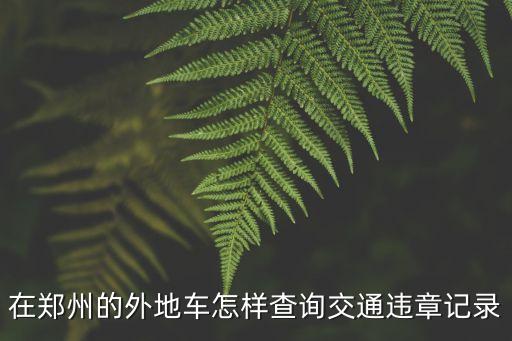在鄭州的外地車(chē)怎樣查詢(xún)交通違章記錄